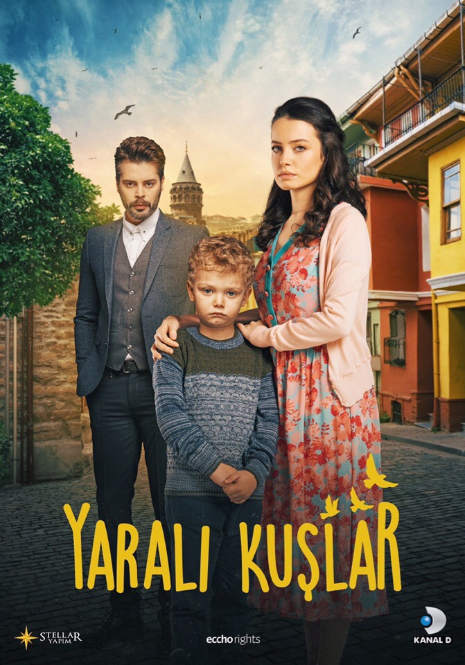 Сериал Раненые птицы ~ Yaralı Kuşlar (Турция)