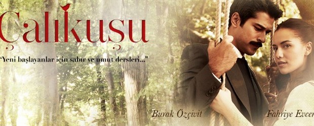 Calikusu1-620x250.jpg